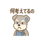 こつこつシュナ おつかれ応援スタンプ（個別スタンプ：13）