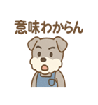 こつこつシュナ おつかれ応援スタンプ（個別スタンプ：15）