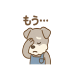 こつこつシュナ おつかれ応援スタンプ（個別スタンプ：17）