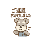 こつこつシュナ おつかれ応援スタンプ（個別スタンプ：19）