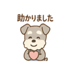 こつこつシュナ おつかれ応援スタンプ（個別スタンプ：20）