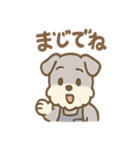 こつこつシュナ おつかれ応援スタンプ（個別スタンプ：23）