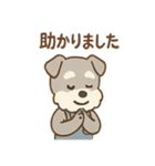 こつこつシュナ おつかれ応援スタンプ（個別スタンプ：24）