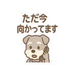 こつこつシュナ おつかれ応援スタンプ（個別スタンプ：29）
