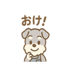 こつこつシュナ おつかれ応援スタンプ（個別スタンプ：38）