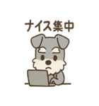 こつこつシュナ おつかれ応援スタンプ（個別スタンプ：40）