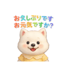 かわいいサモエドの日常会話スタンプ【3D】（個別スタンプ：1）