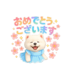 かわいいサモエドの日常会話スタンプ【3D】（個別スタンプ：17）