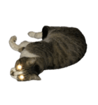 キジトラ猫セリフなし（個別スタンプ：8）