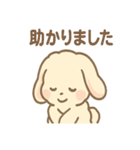 ふわもこラビのやさしいあいさつスタンプ（個別スタンプ：24）