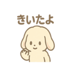 ふわもこラビのやさしいあいさつスタンプ（個別スタンプ：30）
