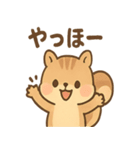 元気いっぱい ぴょこリス あいさつスタンプ（個別スタンプ：5）