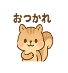 元気いっぱい ぴょこリス あいさつスタンプ（個別スタンプ：6）