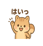 元気いっぱい ぴょこリス あいさつスタンプ（個別スタンプ：8）