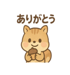 元気いっぱい ぴょこリス あいさつスタンプ（個別スタンプ：16）