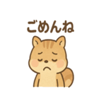 元気いっぱい ぴょこリス あいさつスタンプ（個別スタンプ：17）