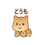 元気いっぱい ぴょこリス あいさつスタンプ（個別スタンプ：19）