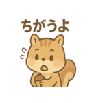 元気いっぱい ぴょこリス あいさつスタンプ（個別スタンプ：24）