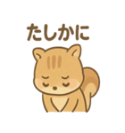 元気いっぱい ぴょこリス あいさつスタンプ（個別スタンプ：25）