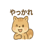 元気いっぱい ぴょこリス あいさつスタンプ（個別スタンプ：33）