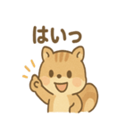 元気いっぱい ぴょこリス あいさつスタンプ（個別スタンプ：35）