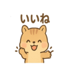 元気いっぱい ぴょこリス あいさつスタンプ（個別スタンプ：37）