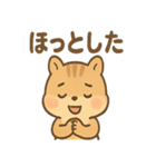 元気いっぱい ぴょこリス あいさつスタンプ（個別スタンプ：40）