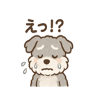 もふもふシュナのゆる日常スタンプ（個別スタンプ：3）