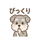 もふもふシュナのゆる日常スタンプ（個別スタンプ：4）