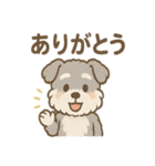 もふもふシュナのゆる日常スタンプ（個別スタンプ：15）