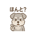 もふもふシュナのゆる日常スタンプ（個別スタンプ：16）