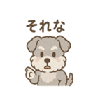 もふもふシュナのゆる日常スタンプ（個別スタンプ：17）