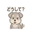 もふもふシュナのゆる日常スタンプ（個別スタンプ：18）