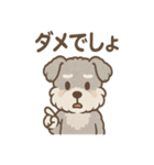 もふもふシュナのゆる日常スタンプ（個別スタンプ：19）