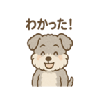 もふもふシュナのゆる日常スタンプ（個別スタンプ：21）