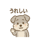 もふもふシュナのゆる日常スタンプ（個別スタンプ：25）