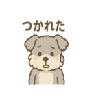 もふもふシュナのゆる日常スタンプ（個別スタンプ：28）