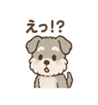 もふもふシュナのゆる日常スタンプ（個別スタンプ：38）