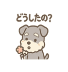 ほのぼのシュナ ゆるトークスタンプ（個別スタンプ：3）