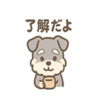 ほのぼのシュナ ゆるトークスタンプ（個別スタンプ：4）