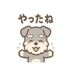 ほのぼのシュナ ゆるトークスタンプ（個別スタンプ：5）