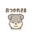 ほのぼのシュナ ゆるトークスタンプ（個別スタンプ：8）