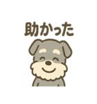 ほのぼのシュナ ゆるトークスタンプ（個別スタンプ：11）
