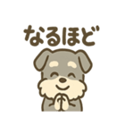 ほのぼのシュナ ゆるトークスタンプ（個別スタンプ：12）