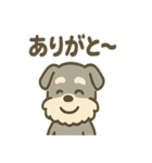 ほのぼのシュナ ゆるトークスタンプ（個別スタンプ：13）