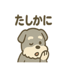 ほのぼのシュナ ゆるトークスタンプ（個別スタンプ：19）