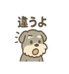 ほのぼのシュナ ゆるトークスタンプ（個別スタンプ：20）