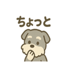 ほのぼのシュナ ゆるトークスタンプ（個別スタンプ：21）