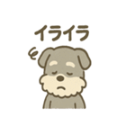 ほのぼのシュナ ゆるトークスタンプ（個別スタンプ：35）