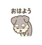ほのぼのシュナ ゆるトークスタンプ（個別スタンプ：39）